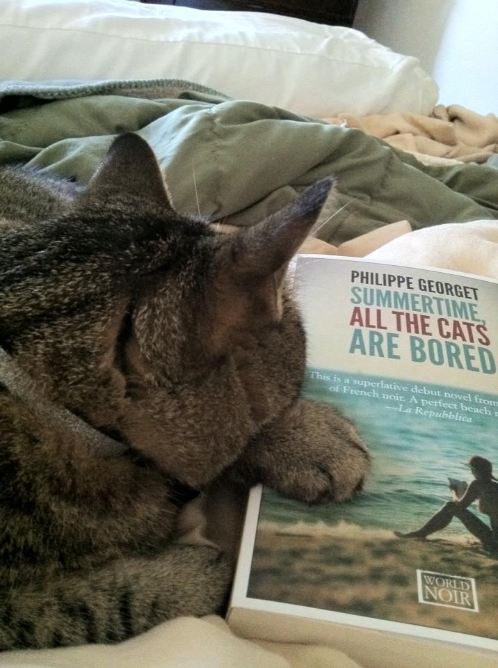 bookavore:
“catshatereading:
“ Ernest hates Summertime, All the Cats are Bored by Philippe Georget.
(submitted by kalenski)
”
Possibly the best submission I’ve gotten for this tumblr.
”