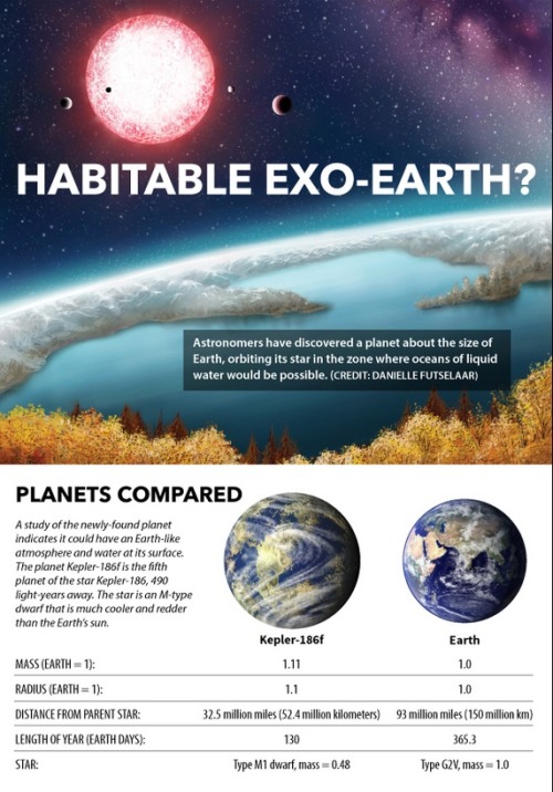 mucholderthen: Found! First Earth-Size Planet That Could Potentially Support LifeAstronomers have di