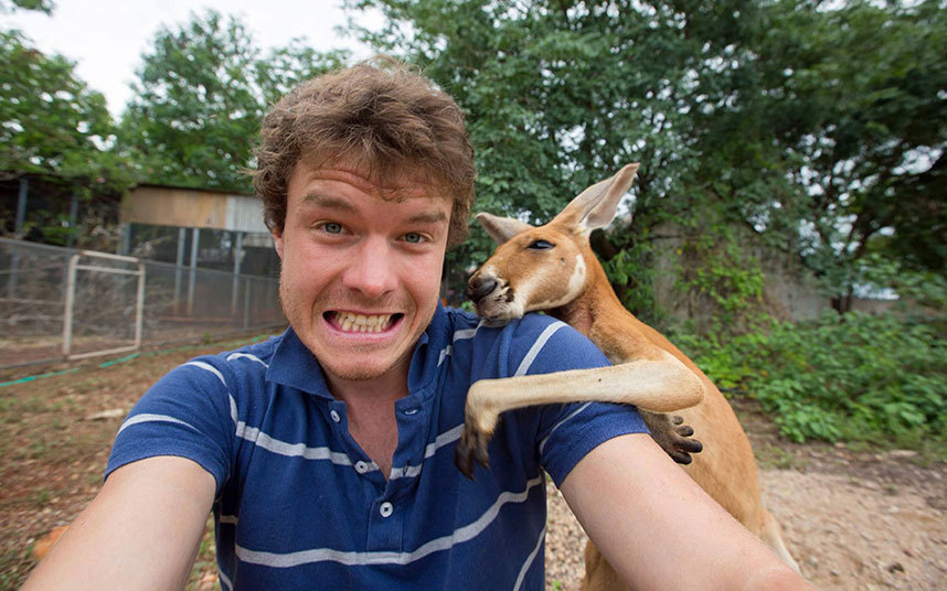 wtf-fun-factss:   Allan Dixon and the art of animal selfie - WTF fun facts 