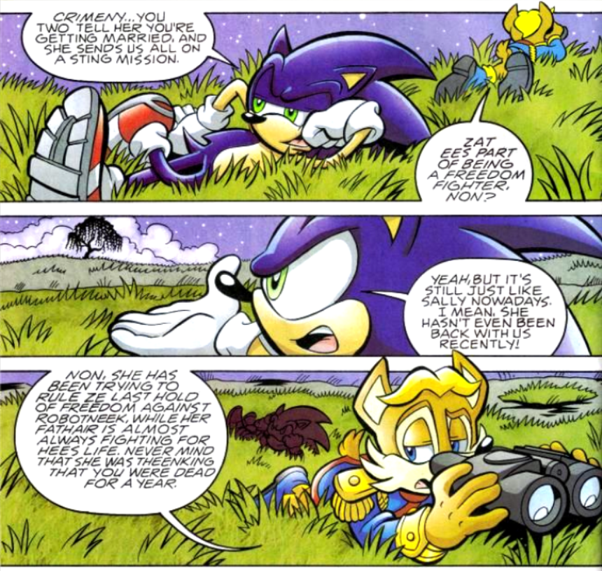 Amy & Shadow: The Slap!, Archie Sonic Comics