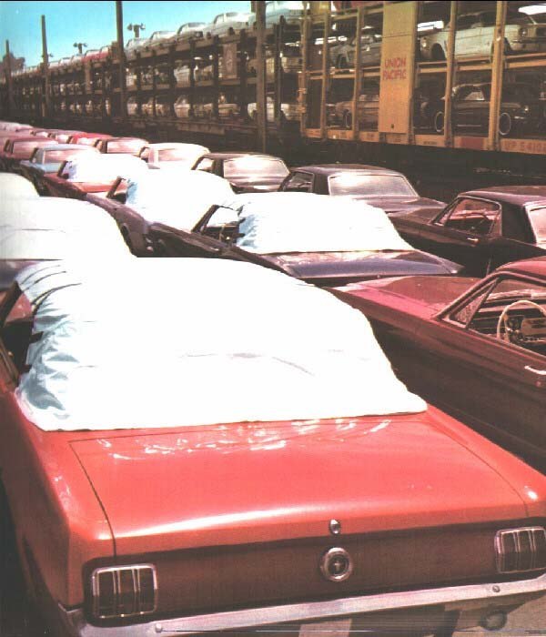 Ford Mustangs