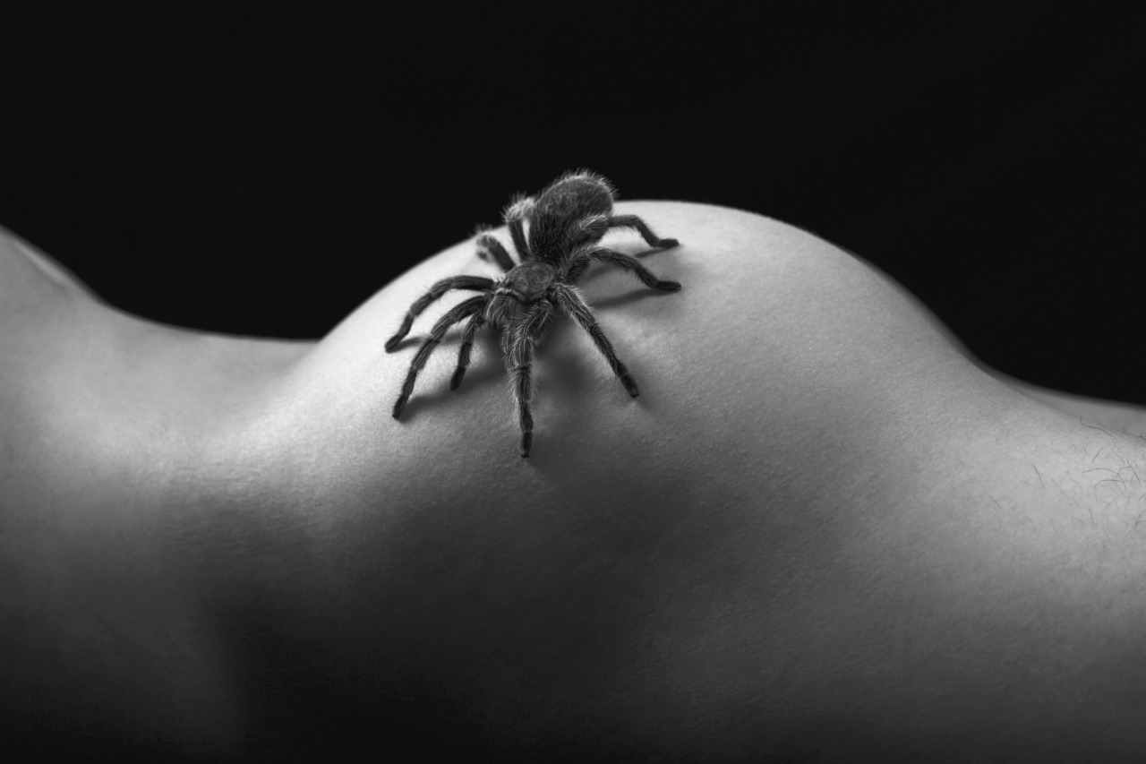 cgubcffukogdee:  狼蛛🕷️