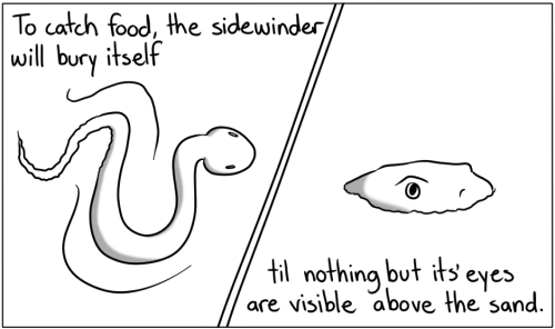 thesearabbitcomics:  So basically just camp for your food. Thanks nature. 