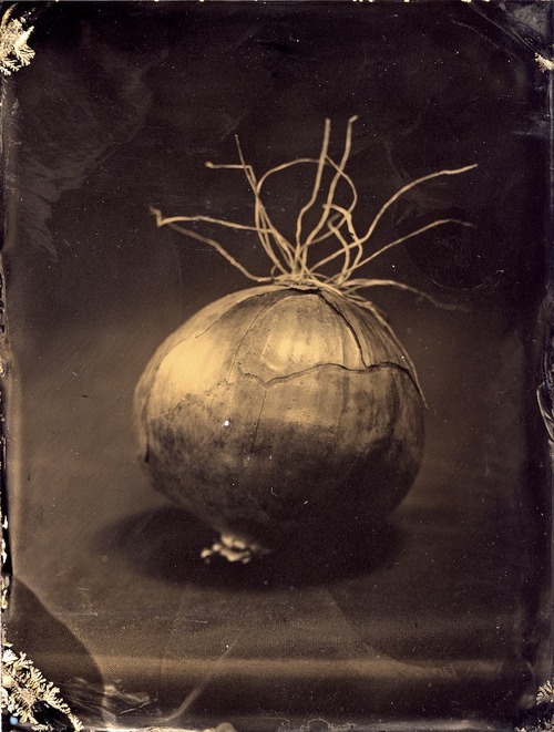 brookelabrie:  In light of the holiday season, for the next 15 days until Christmas, I will be offering a 15% discount on all my tintypes.  At checkout, put in the code HOLIDAY15. They are one of a kind collodion wetplates. Never can be replicated. All