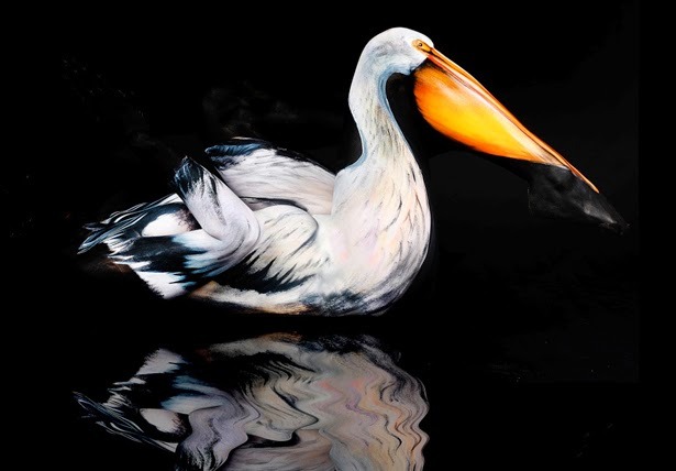 asylum-art-2:  Unbelievable Body Art By Gesine Marwedel Turns People Into Animals
