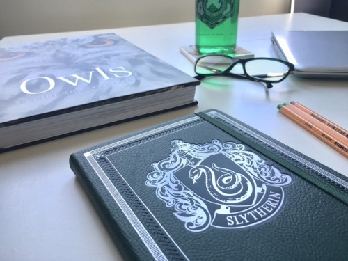 15/02/2018 || What is this??? A slytherin aesthetic post? Or is it me about to start preparing for m
