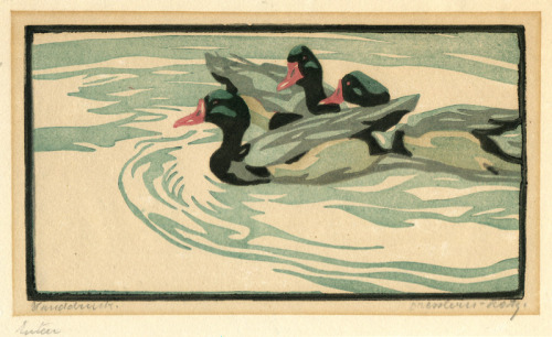 art-and-things-of-beauty:  Coloured Linocuts of Birds by Norbertine Bresslern-Roth (Austrian, 1891-1978). 