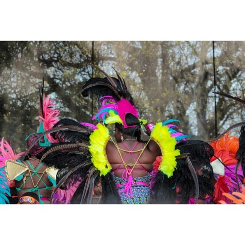 Find Your Wings. A performer at this year&rsquo;s annual @oaklandcarnival celebration of the dia