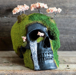 boredpanda:    Bonsai Skulls Bring The Dead To Life  