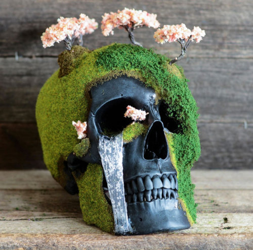 sixpenceee:  Grave Yard Bonsai Mountain Skulls are a unique take on “Memento mori” art. “Remember that you can die” in latin, this art aims to remind us of our own mortality. Made by Australian company Jack Of The Dust, these 850 gram, 13x16x22cm