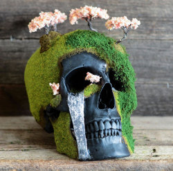 hahamagartconnect:  Beautifully Creepy Bonsai Skulls It’s a rare sight - a traditional bonsai garden and a graveyard perched atop a skull, cherry blossom trees cradling eye sockets, there’s something so fragile about the delicate balance of life and