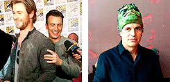tsundereslasher:Avengers: Age of Ultron cast at San Diego Comic-Con 2014