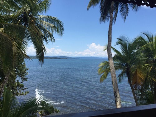 Cambiar de perspectiva ❤️ Manzanillo, limón, Costa Rica