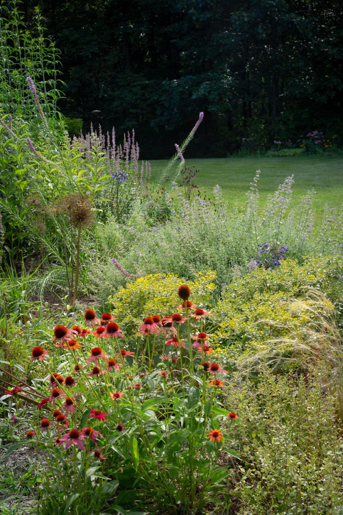 Early summer and already a too long stretch of over 90 degree days.  Good bye to the soft pinks, lav