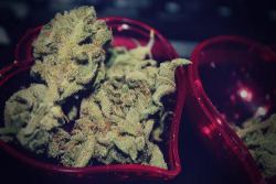 cannaweed420:  Never pay for Weed again - Click here