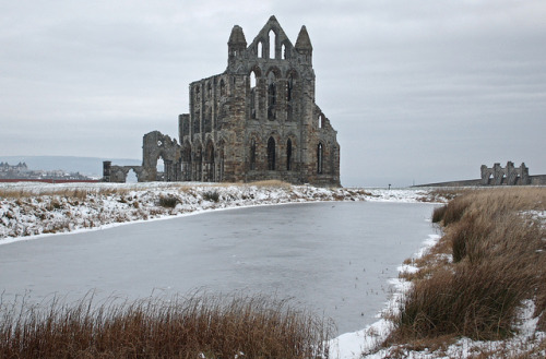 lost-in-centuries-long-gone: abbey by babpuss on Flickr. at whitby