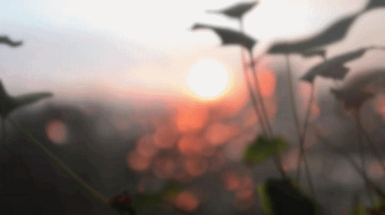 we-love-rain: RAINY SUNDAY DAWN || ♥ we-love-rain ت