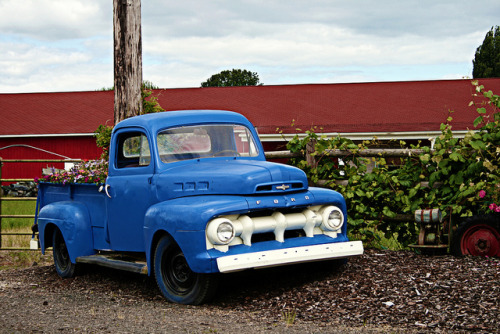 americabymotorcycle:  untitled by Annafur on Flickr. 