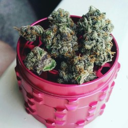 nuug-life:  whatchu know bout them tangie