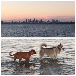 The boys had a blast at the beach, even if