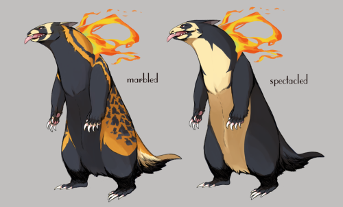 riskydoodles:Typhlosion Variations