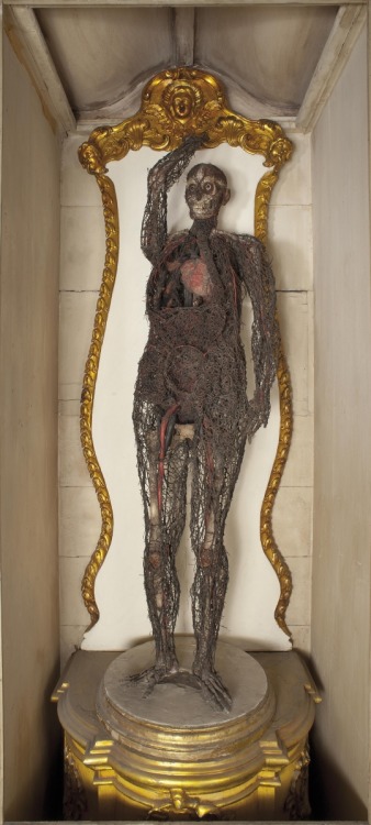 amatesura: The Anatomical Machines, Giuseppe Salerno, c. 1756-64In the Underground Chamber of the Sa