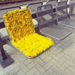 plantial:  I did this at a bus stop once.