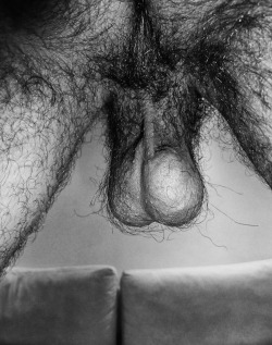 standingleg:  topguy4hry:  hairy sac  This makes my dick hard and my mouth wet. 