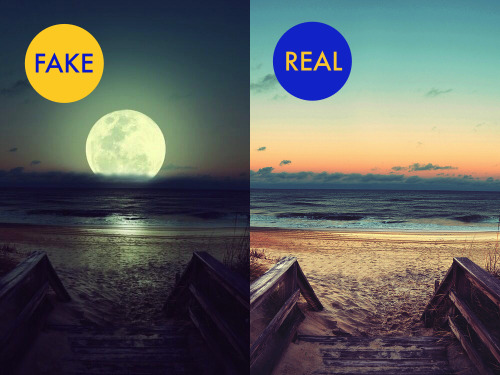 justlearningasigo:  sci-universe:  Some of the hoaxes I just keep seeing circling around Tumblr  Who cares if they’re fake! Art is beautiful and people are talented 