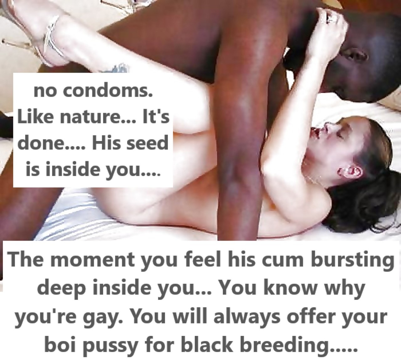 Interracial breeding tumblr