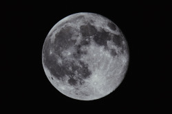 swiftthefox:  Blue Moon on 7/31/15 