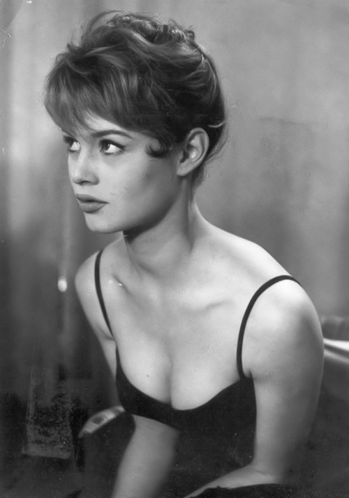 tamburina:  Bardot 