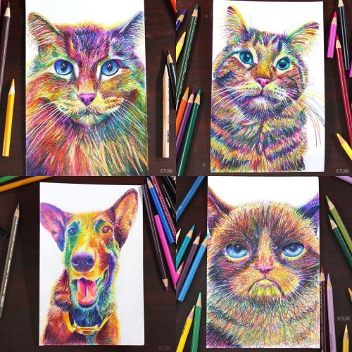 Pets I’ve drawn in rainbow colours. Accepting commissions in this style, and I got a few spots