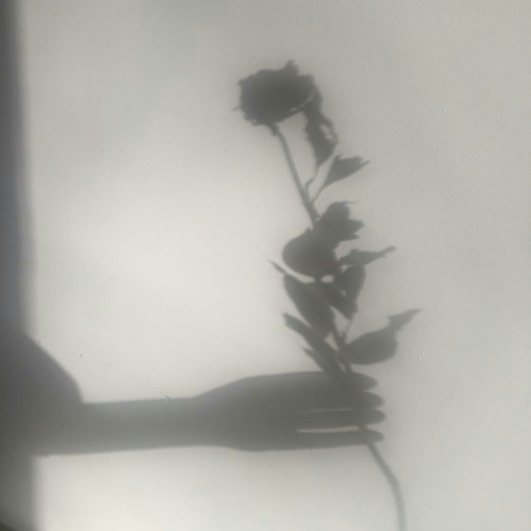 sunbathe:  https://www.instagram.com/p/BcMYwMVBw1r/