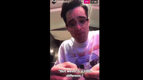 Brendon urie smoke weed does Brendon Urie