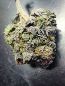 mrs-420:  My purp nug.. The notes!:) 