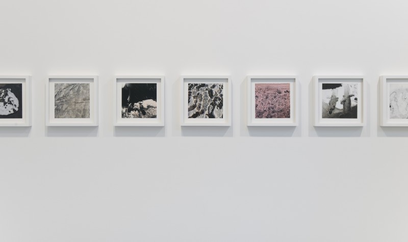 unusualwhite:  Rachel Harrison at Regen Projects (Contemporary Art Daily)
