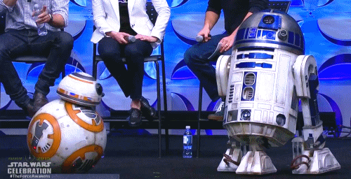 megsokay:fatmanatee:georgeromeros:BB-8 and R2-D2 at Star Wars Celebration Anaheim (X)I would read a 
