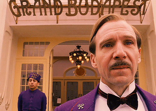 Sex diegos-luna:  THE GRAND BUDAPEST HOTEL (2014) pictures
