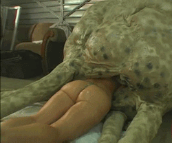 Myxxxconnect:midnight Wisdom: If It’s Slimy And Covered With Pus-Filled Bumps,