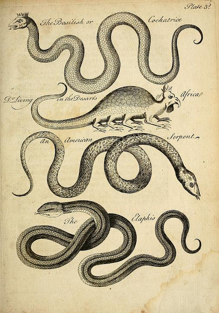 wapiti3:  Natural history of serpents on Flickr.Via Flickr: By Owen, Charles,  Publication info London :Printed for the author, sold by John Gray …,1742. BHL Collections: Curious and Bizarre Creatures Smithsonian Libraries