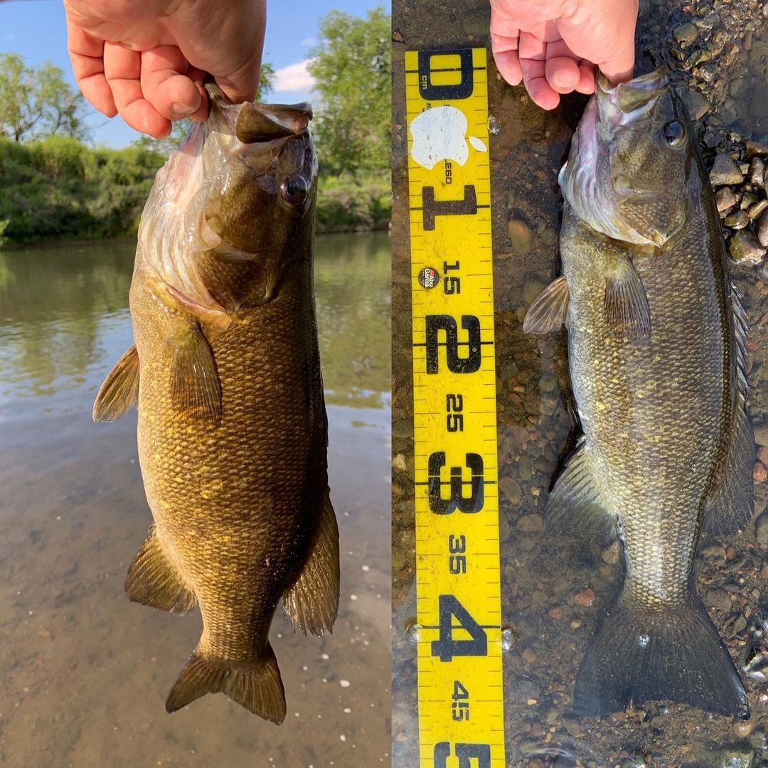 Bass Fishing 俺カッコよさ 研究所