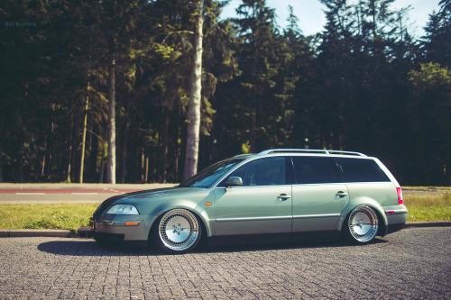 Daily Dubs
