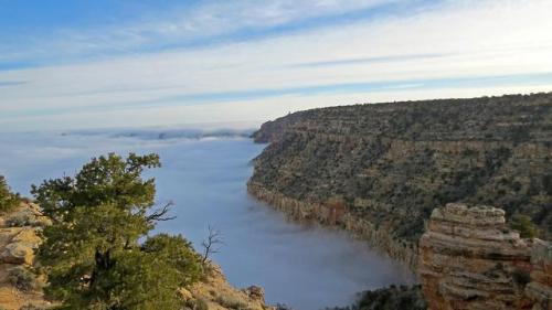The rim above the clouds These photos capture clouds filling almost the entire Grand Canyon due to a