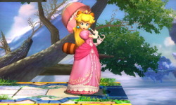 megamean09:  See the girls of Smash 3DS all