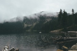 snuffair:  eurd:  tannerseablom:  Mowich lake, Washington.  X  ~