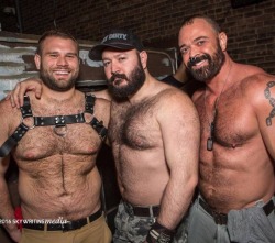 Follow my two hairy men blogs:http://sambrcln.tumblr.comhttp://hairysex.tumblr.com