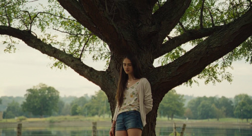 corneliusporsiempre:  The Killing of a Sacred Deer / 2017 Dir: Yorgos Lanthimos Writer: Yorgos Lanth