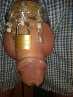 Chastityboy:  3 Days Can’t Take Anymore, Need To Unload! 