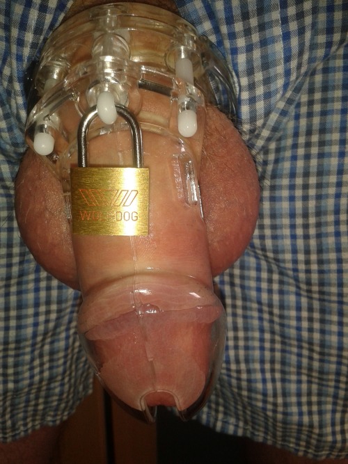 chastityboy:  3 days can’t take anymore, need to unload! 